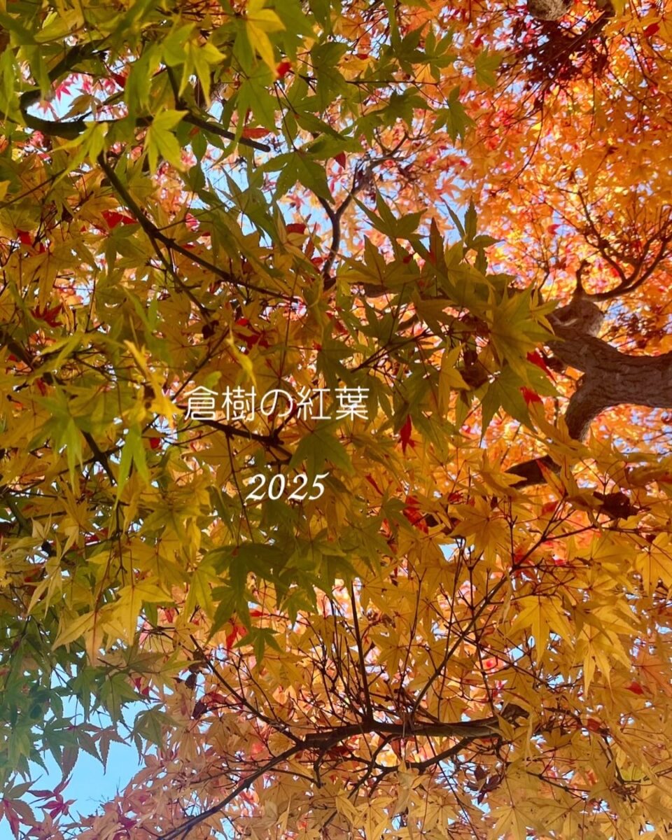 倉樹の庭🍁