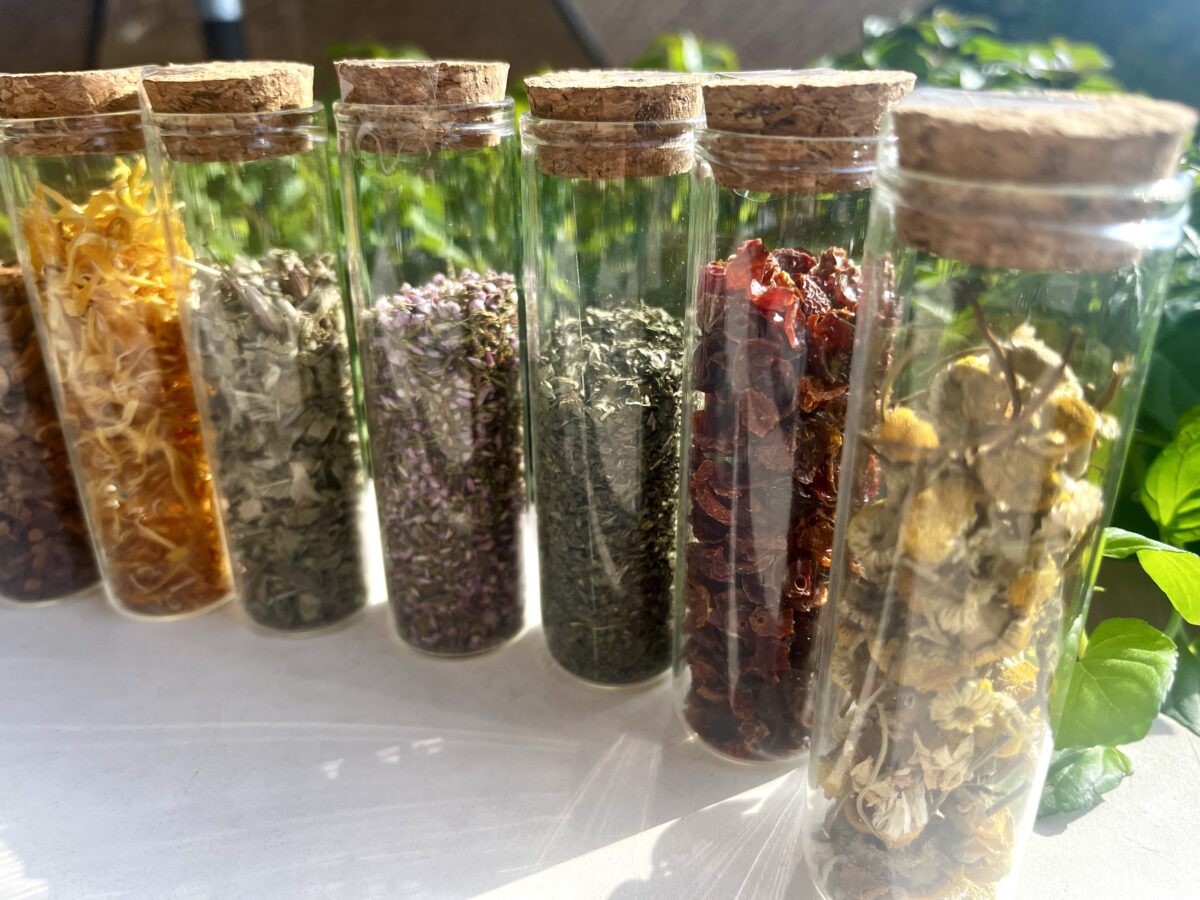 2026 スタート🌿