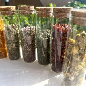 2026 スタート🌿